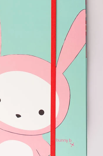 A4 card file/folder